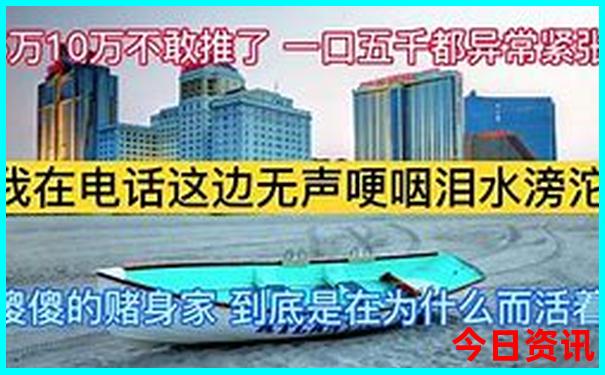 全新爆料澳门解读管家婆全新官方100揭秘准确深度揭秘-管家婆一肖一码王中王